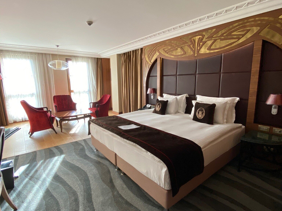 Warwick Ankara主图