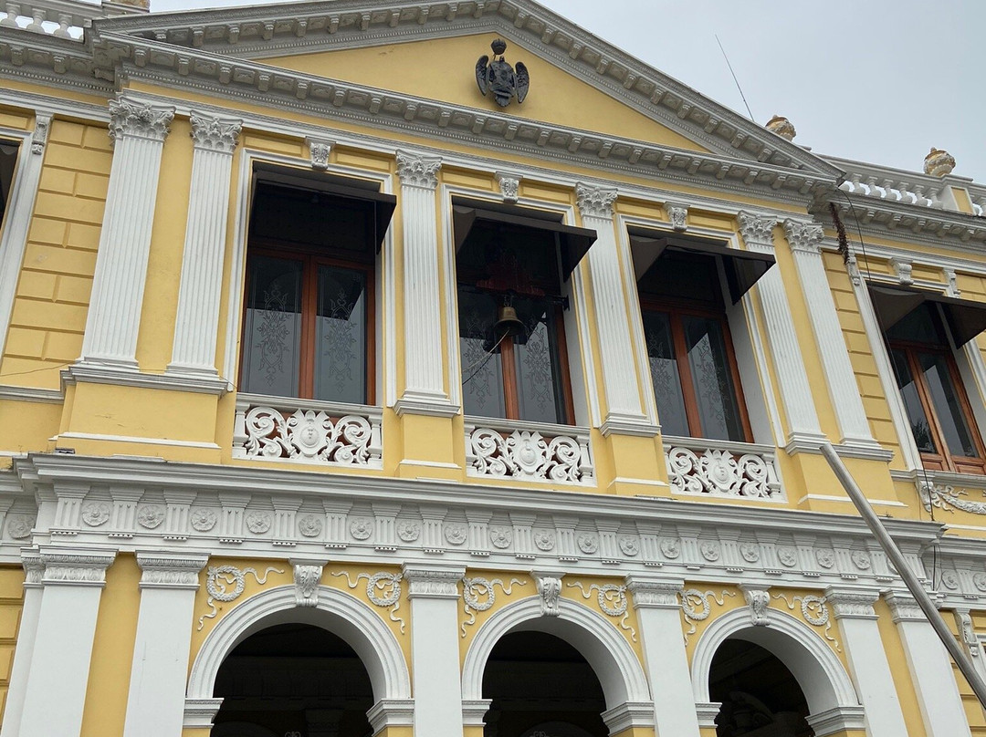 Palacio Municipal de Orizaba景点图片