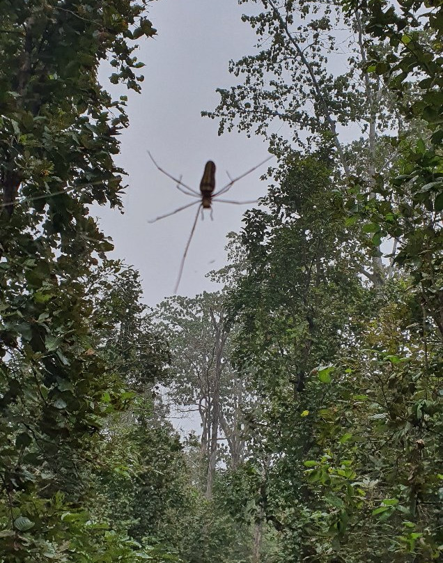 Kanha Tiger Reserve景点图片