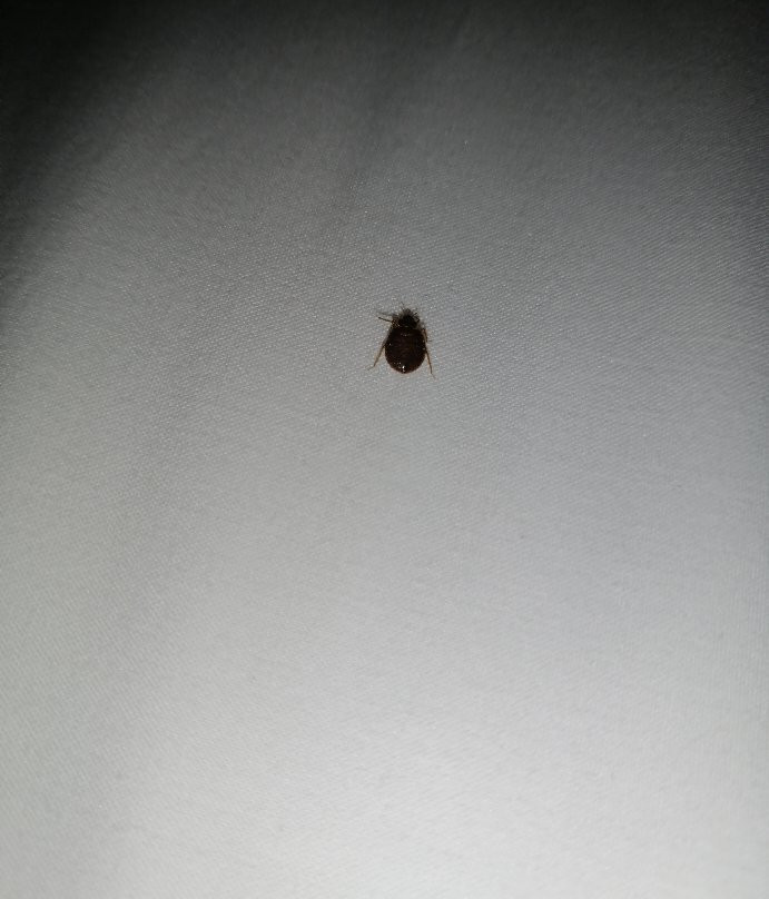 Days Inn by Wyndham Yadkinville主图