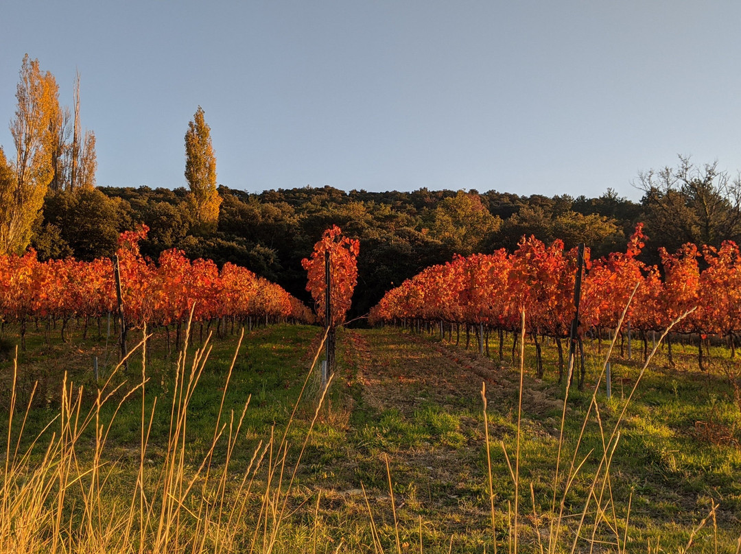 Rousset-les-Vignes旅游攻略图片
