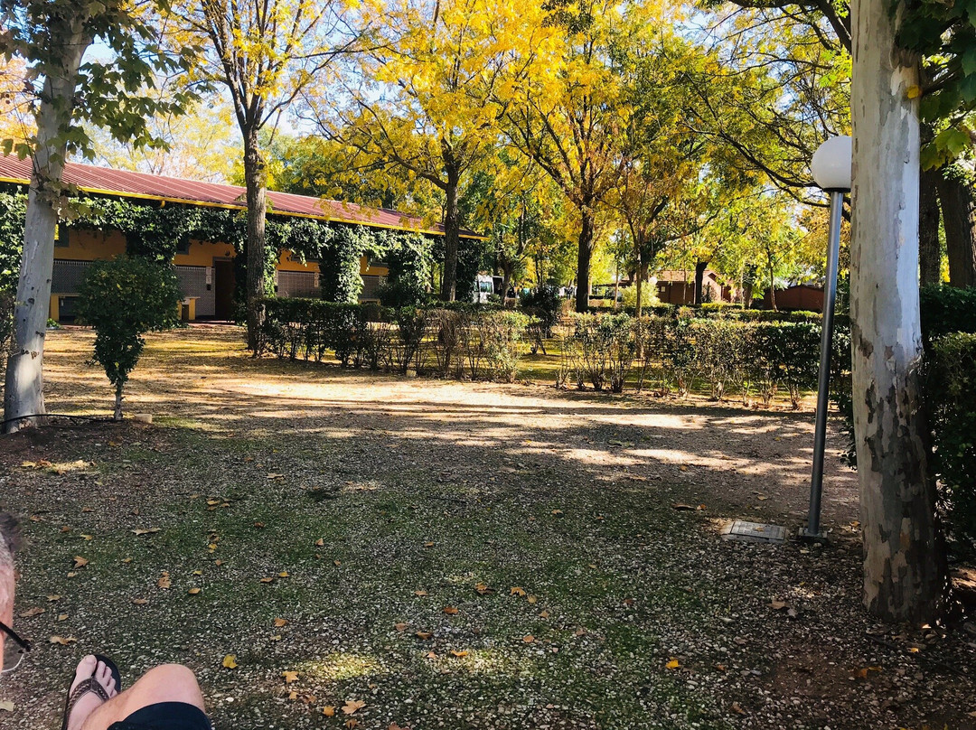 Camping La Albolafia