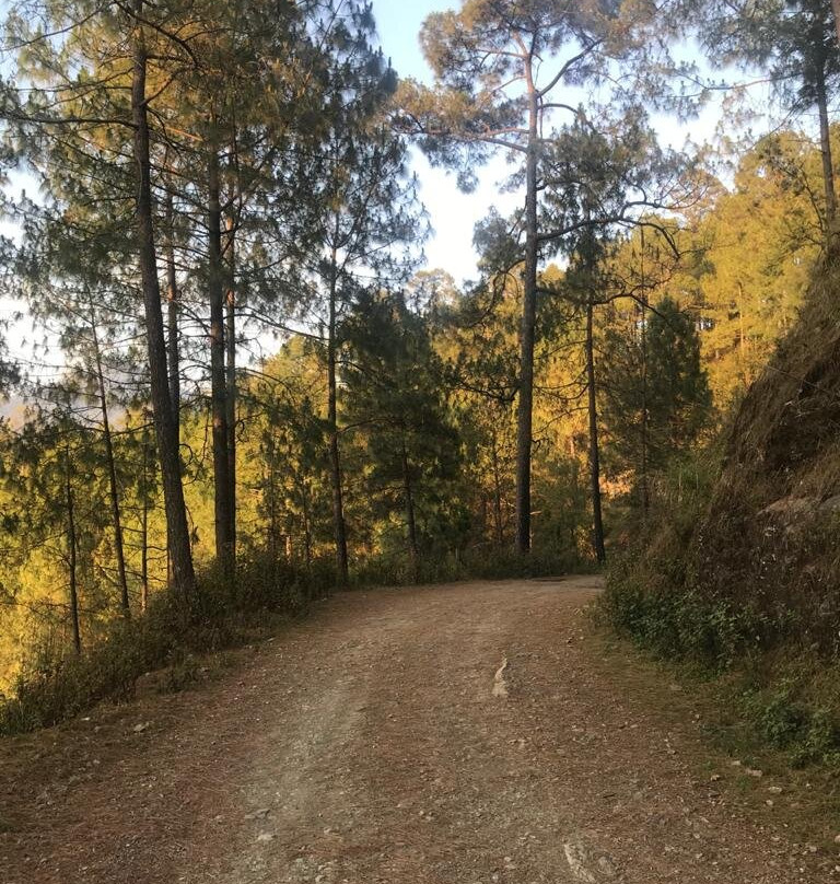 The Kumaon Exotica主图