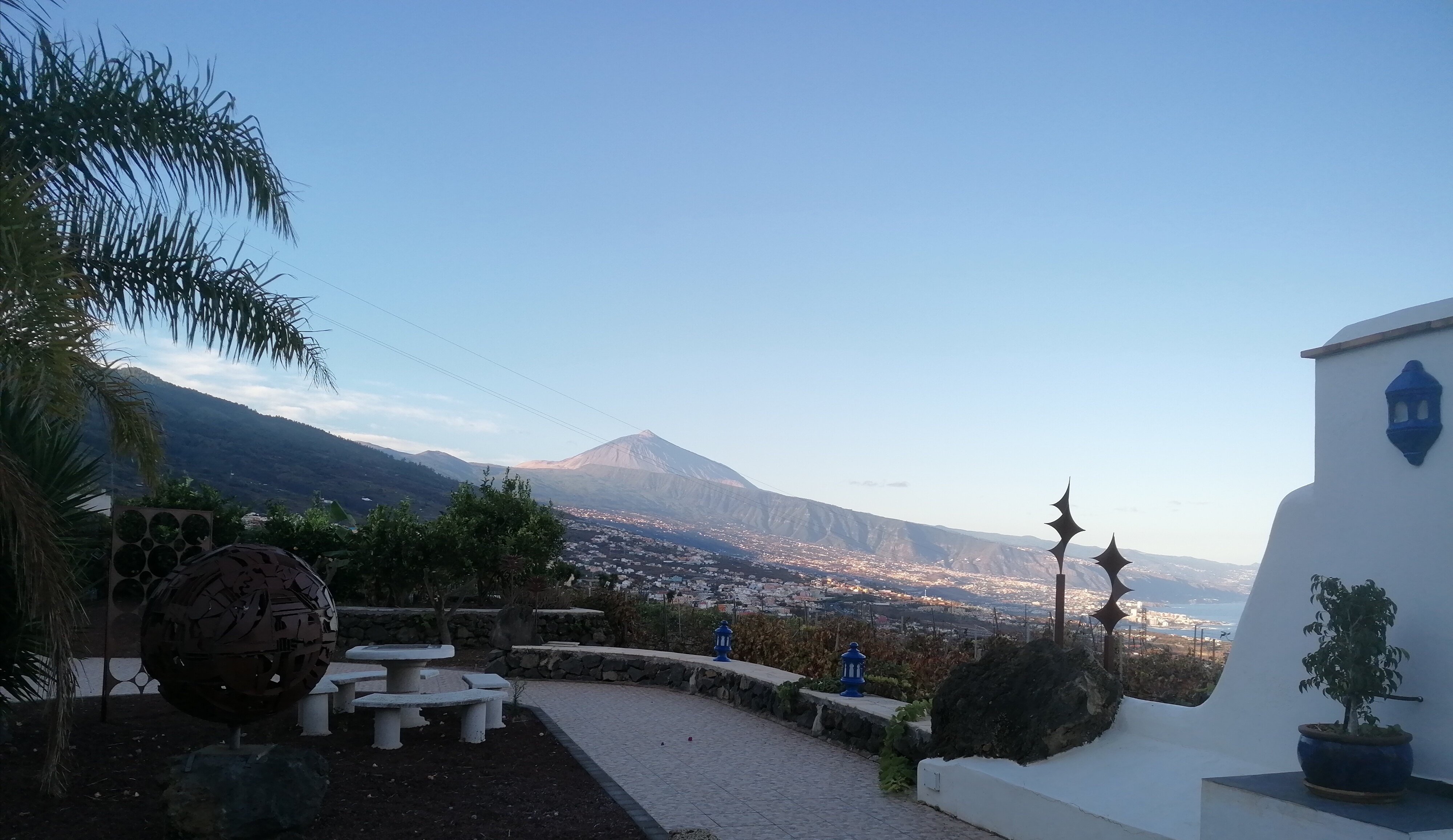 Finca Angelus-官方