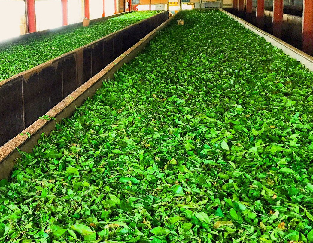 Akuressa酒店住宿-Hareesha Holiday Resort