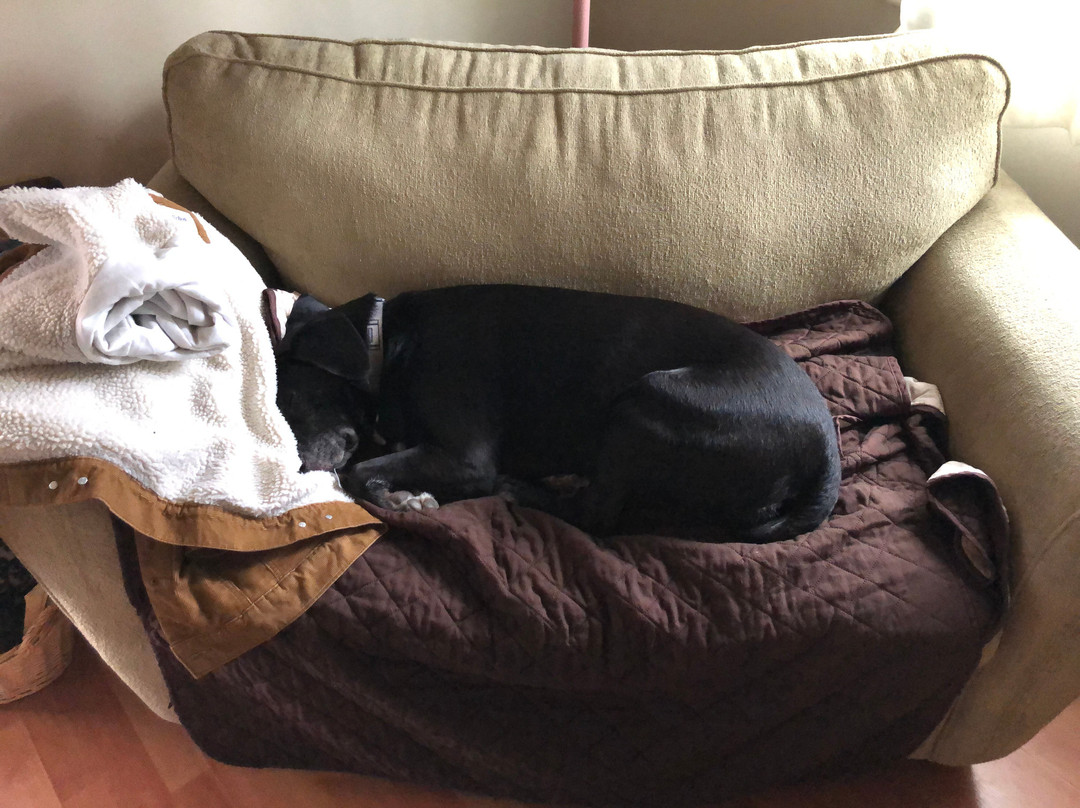 Shaker Mill Inn主图