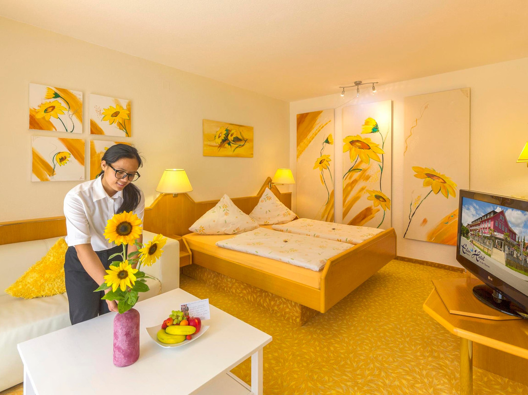 Eden Hotel, Haus am Park主图
