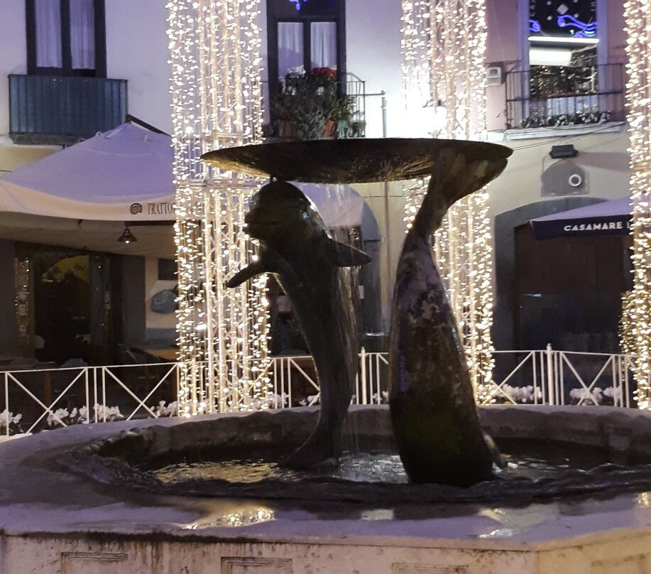 Fontana dei delfini景点图片