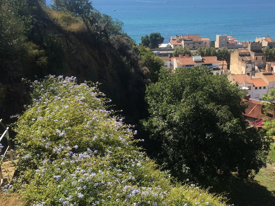 Parc de Can Muntanyà-Caldes d'Estrac必去景点