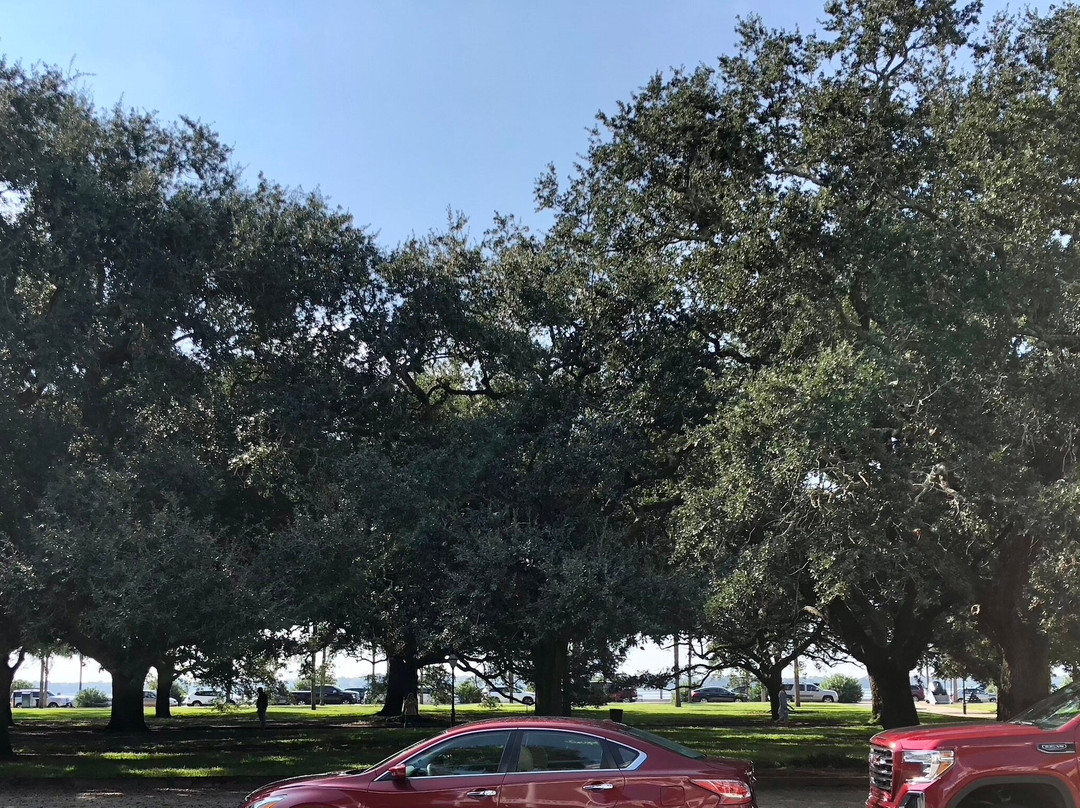 20 South Battery主图