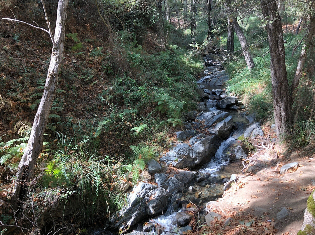 Mesa Potamos Waterfalls-帕拉翠斯必去景点