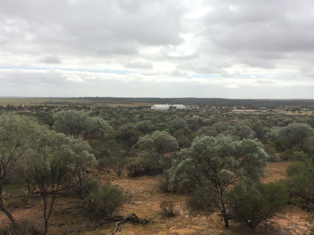 Mullewa Scenic Lookout-Mullewa必去景点