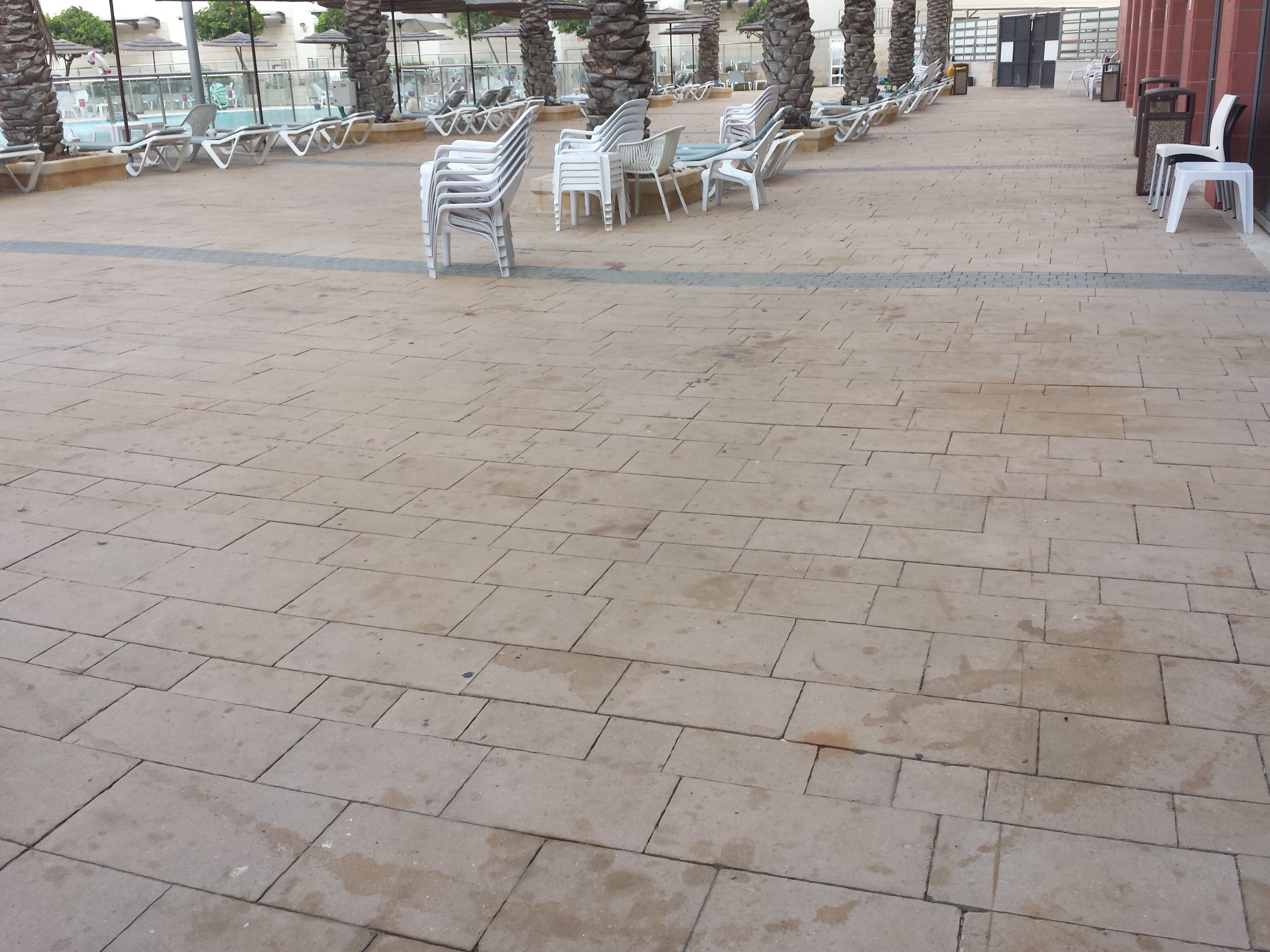 Leonardo Plaza Ashdod-泳池