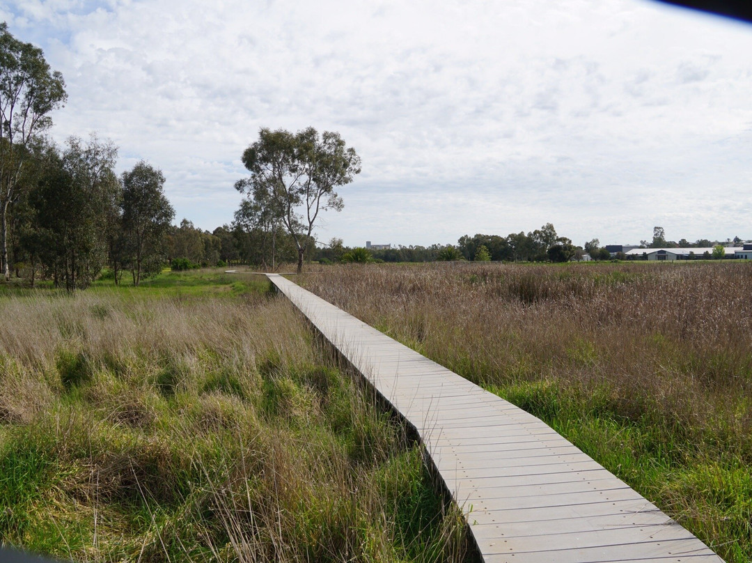 Junee Urban Wetland-Junee必去景点