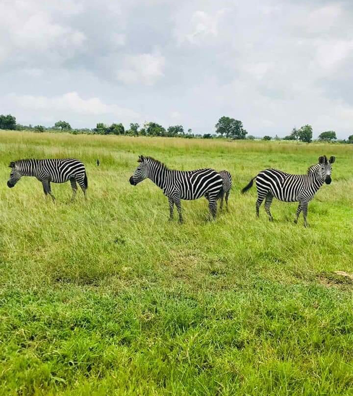 Eden Zanzibar-桑给巴尔岛必去景点
