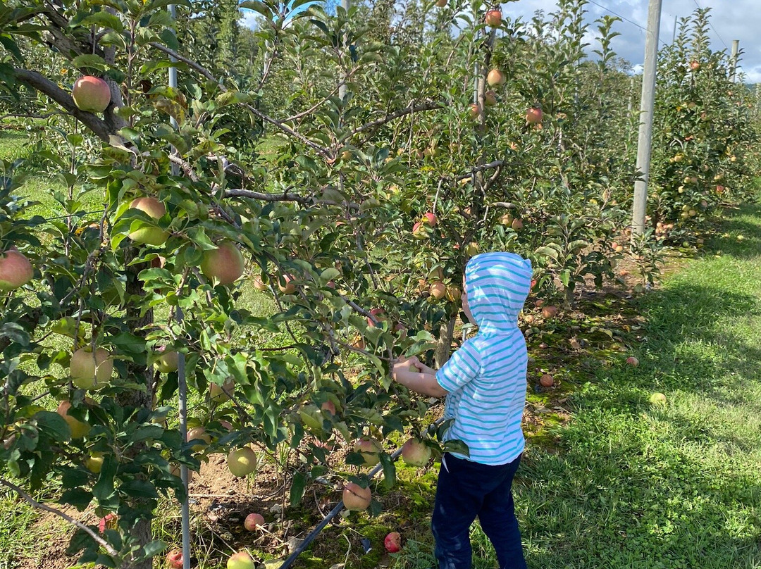 Justus Orchard景点图片