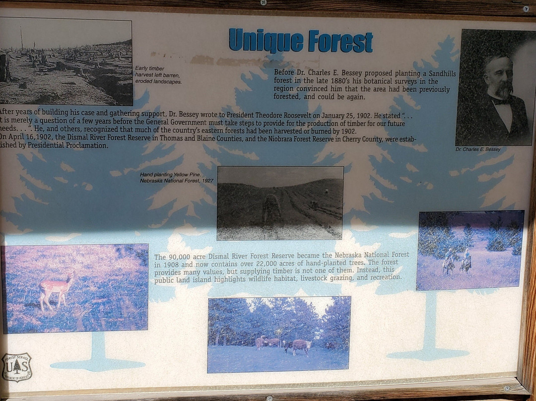 Nebraska National Forest-Halsey必去景点