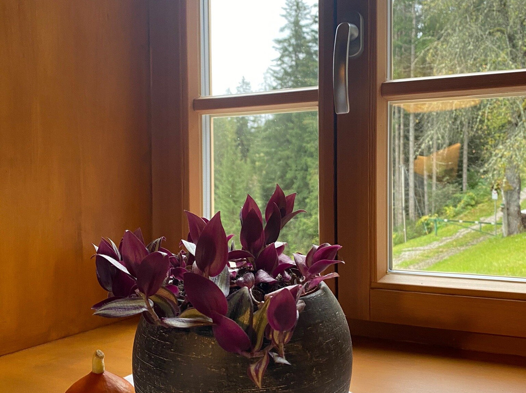 Silentium Dolomites Chalet主图