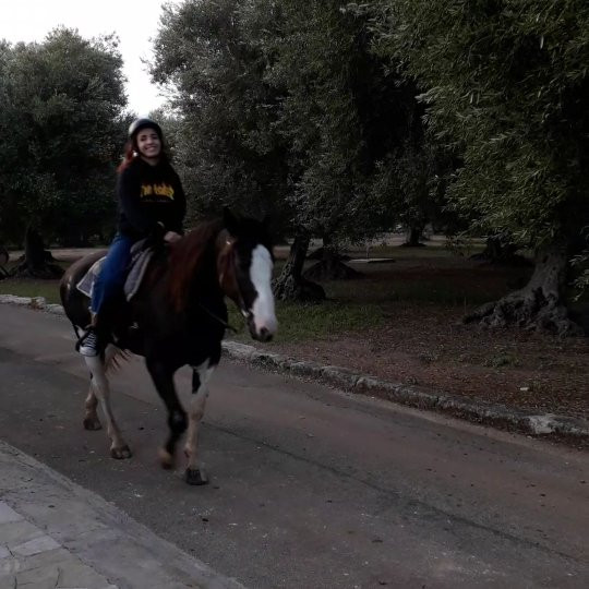 Centro Ippico Parco di Mare ASD-Montalbano必去景点