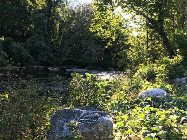 Bicycle Junction-Damascus必去景点