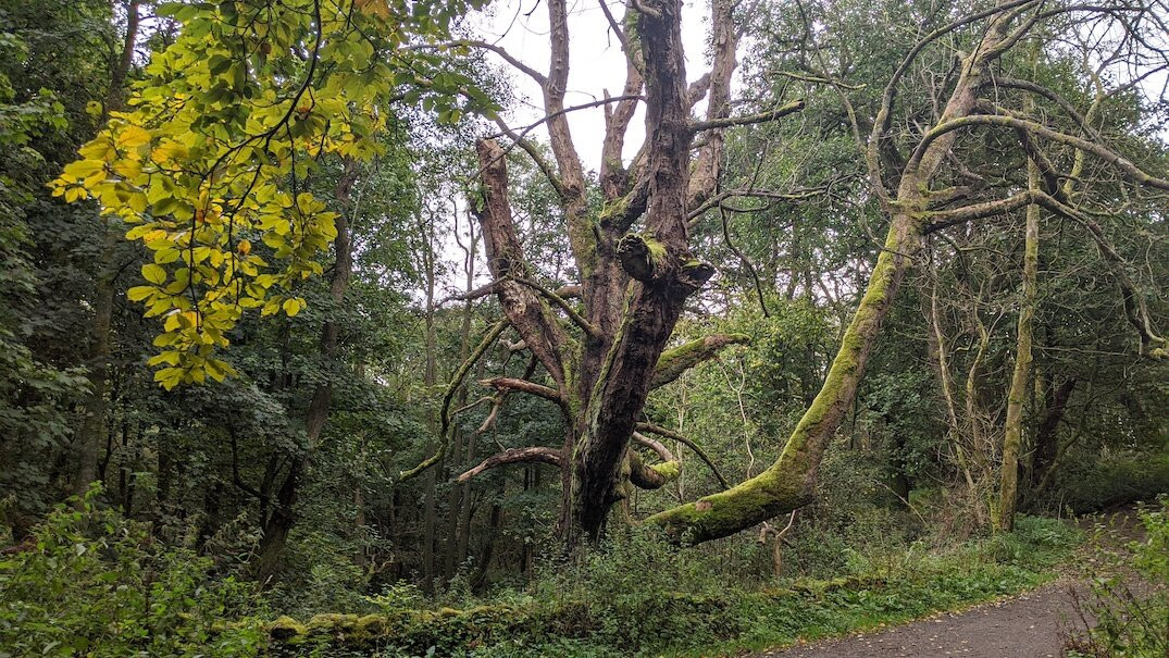 Mugdock Country Park-Milngavie必去景点