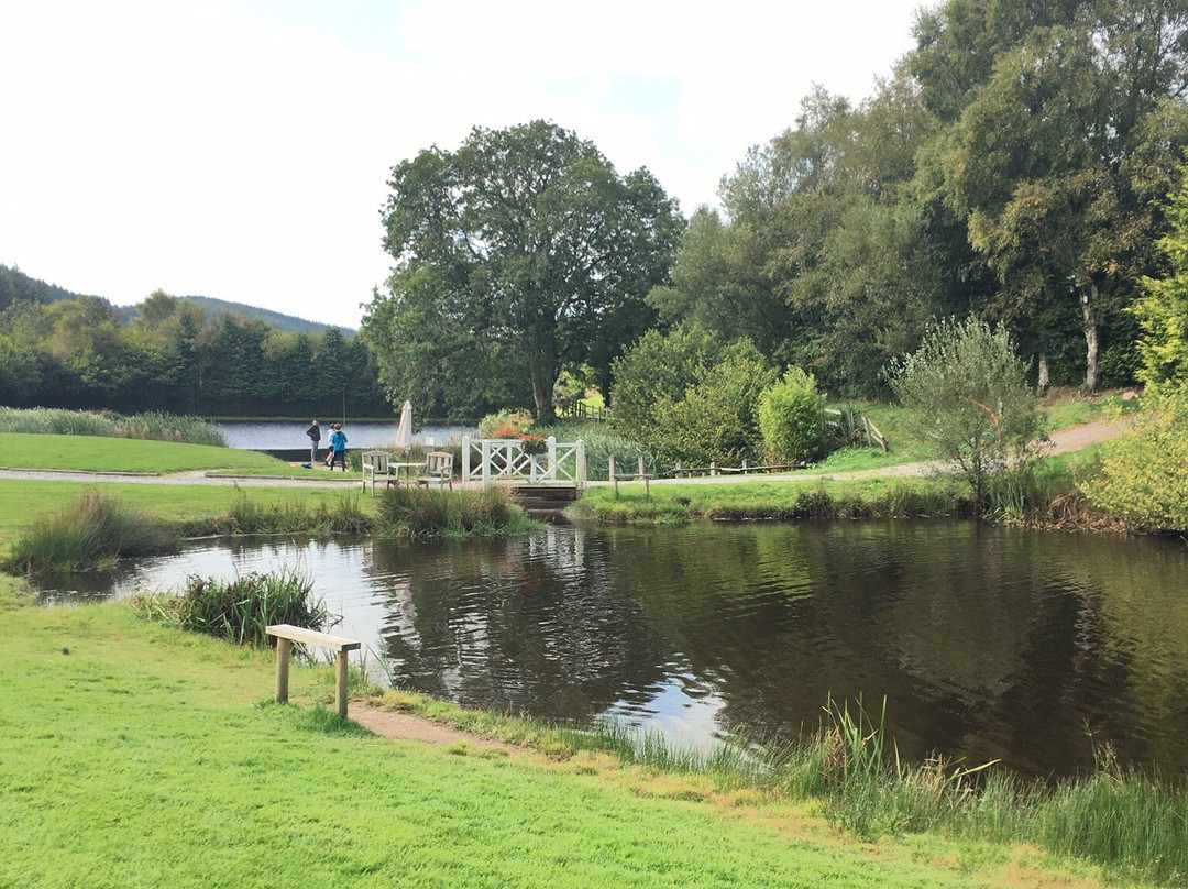 Llandegla Fishery景点图片