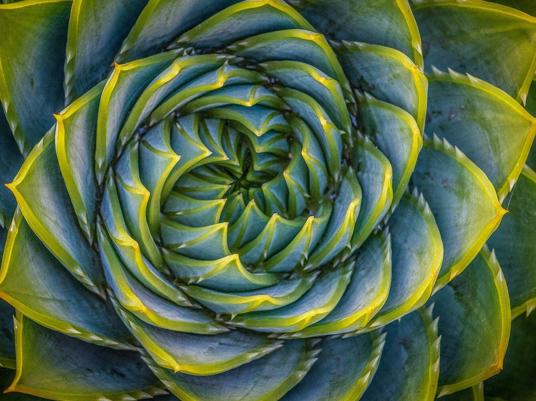 Excursions guidées à Dunedin, atelier photo et séjours thématiques en NZ-但尼丁必去景点