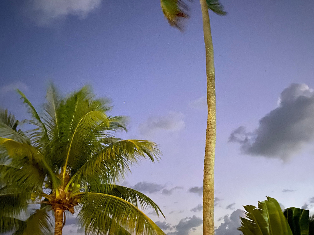 Pé na Areia Boutique Hotel主图