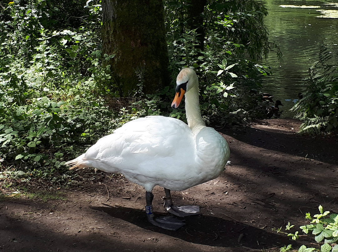 Moses Gate Country Park景点图片