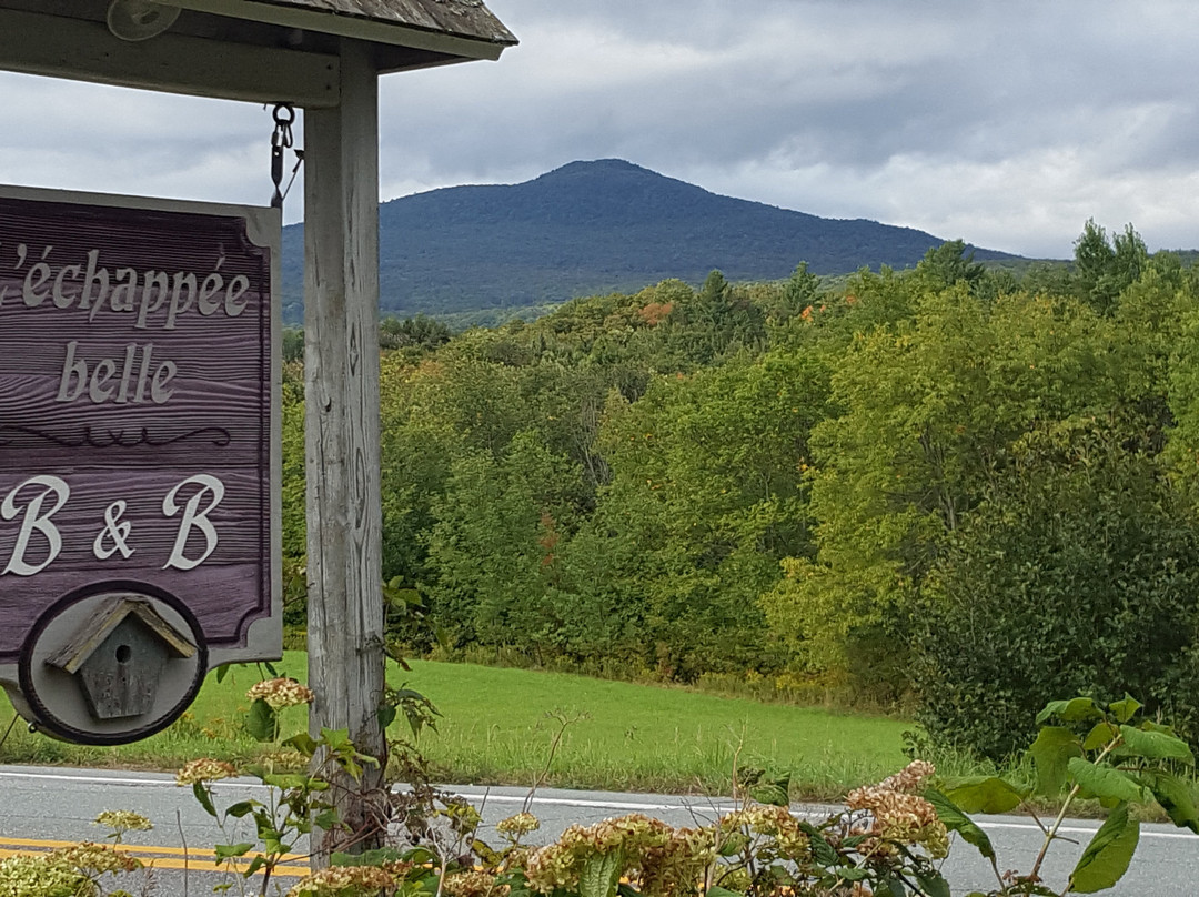 L'échappée Belle Chez Robert主图