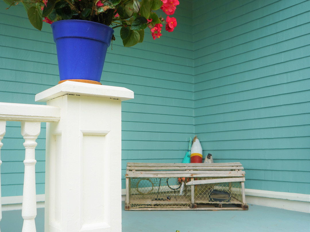 Alicion Bed & Breakfast主图