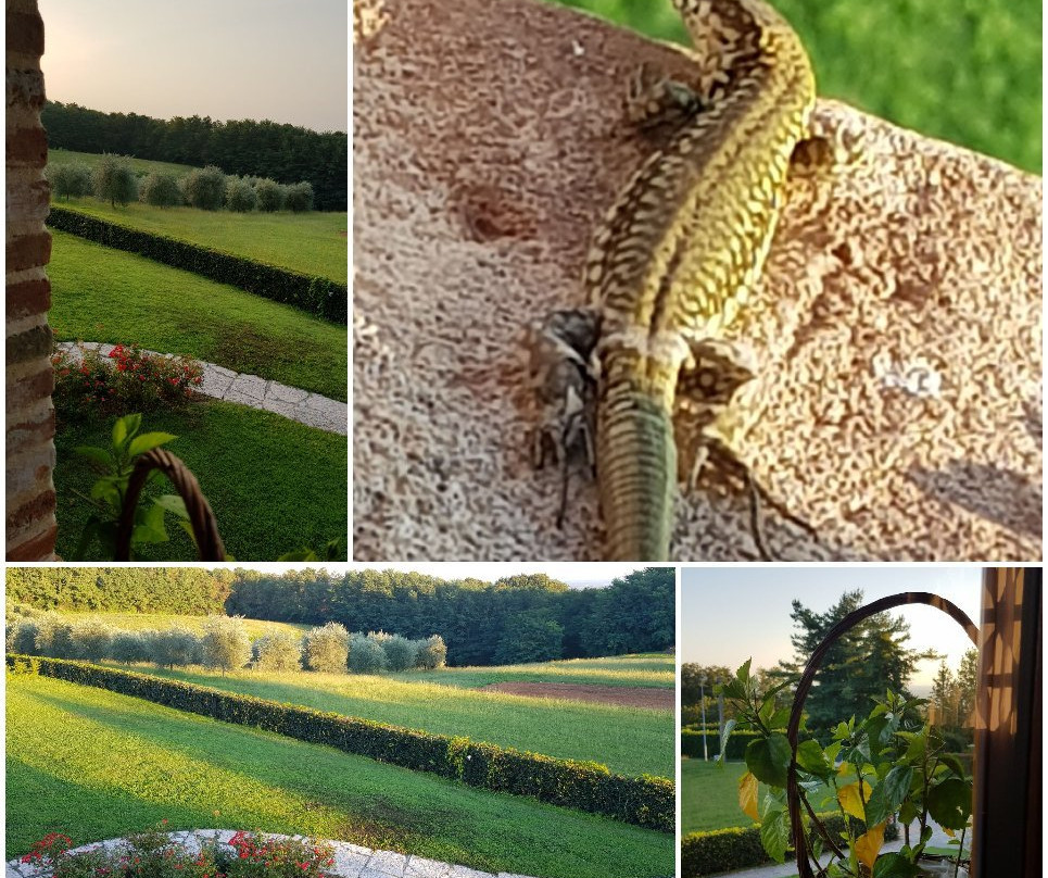 Agriturismo Dolce Colle主图