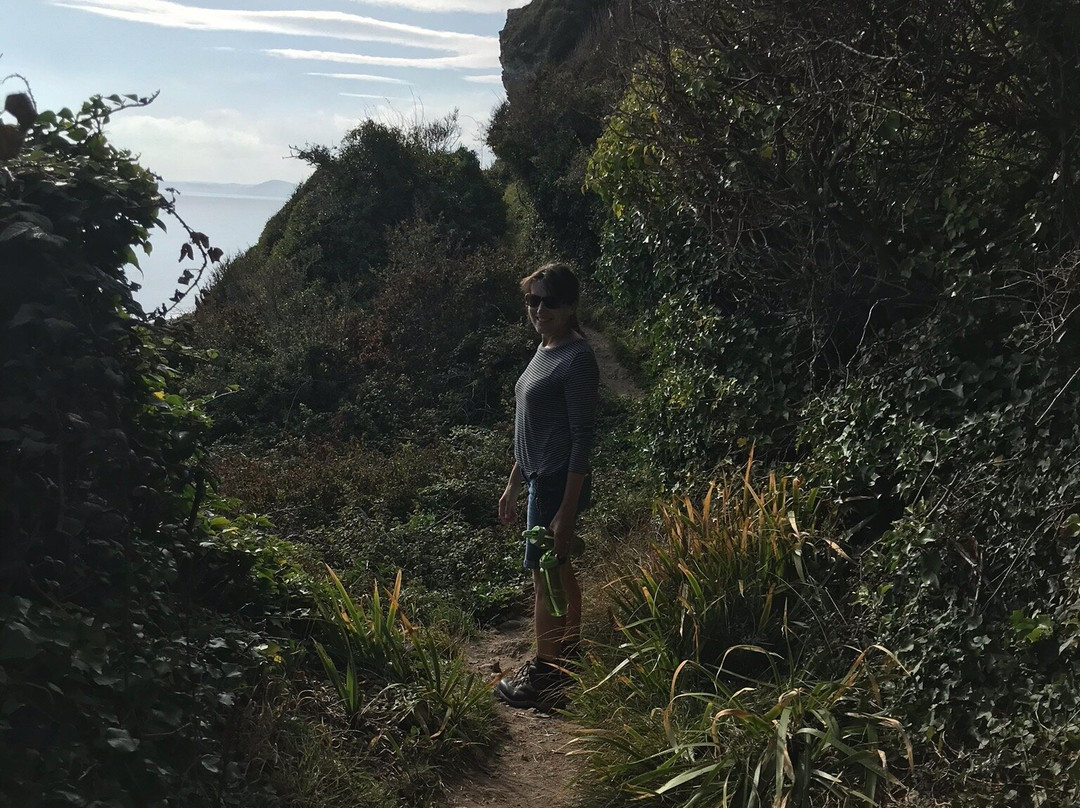 South West Coast Path - Hooken Cliffs-Beer必去景点