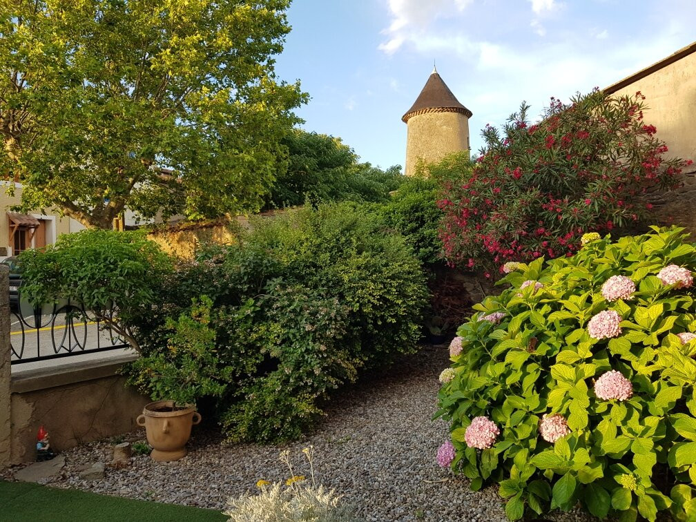 La Belle Minervoise主图