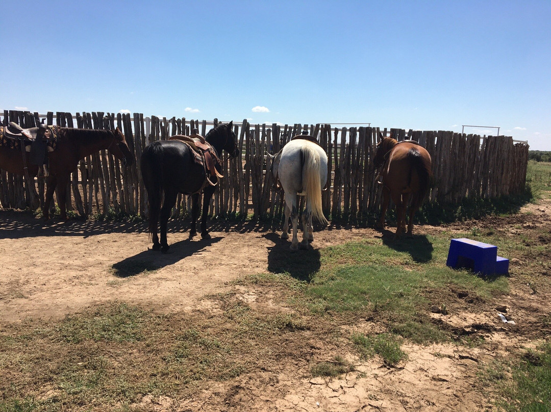 Cowgirls and Cowboys in the West-阿马里洛必去景点
