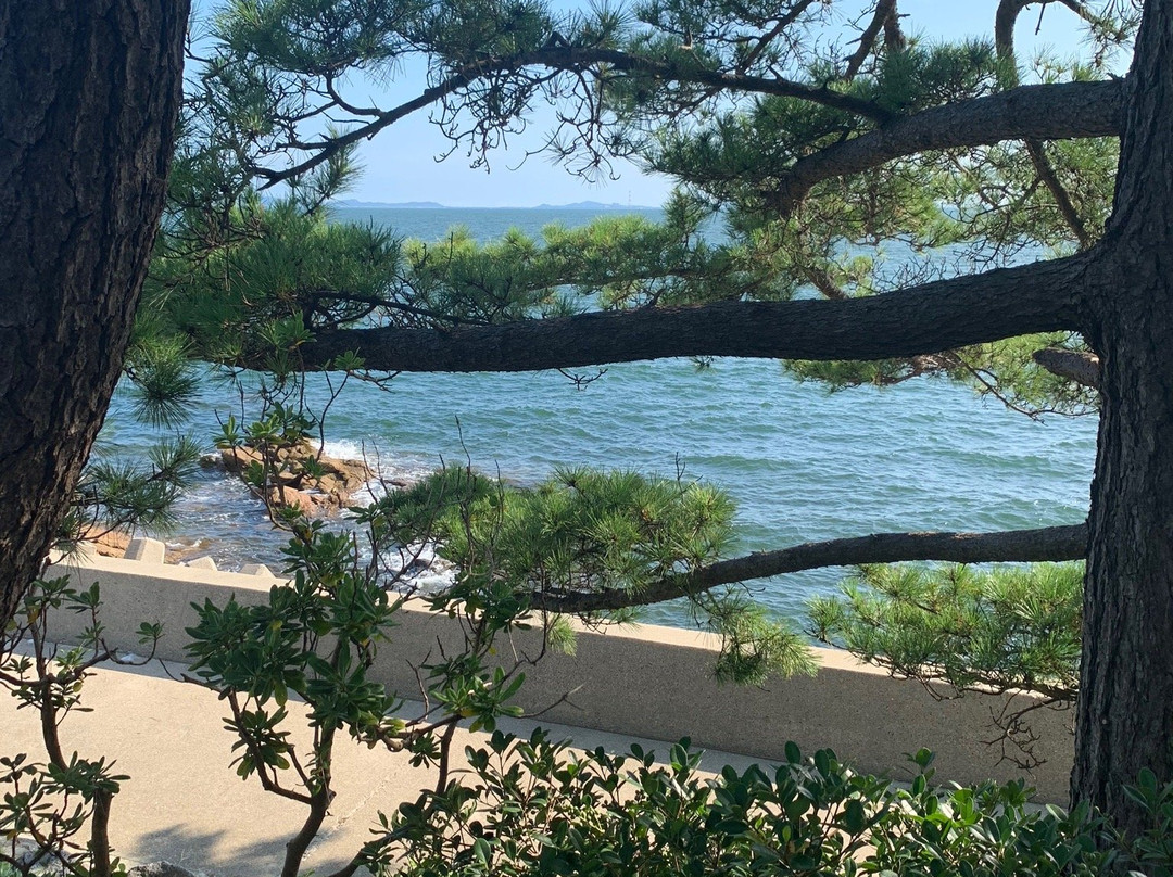 Kira Beach-西尾市必去景点