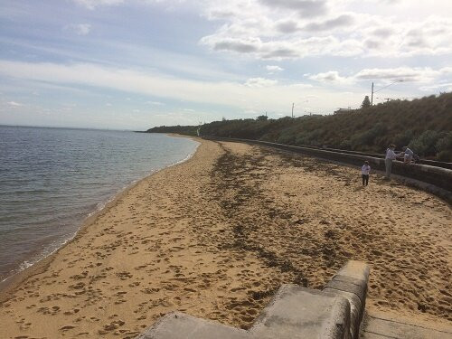 Black Rock Beach景点图片
