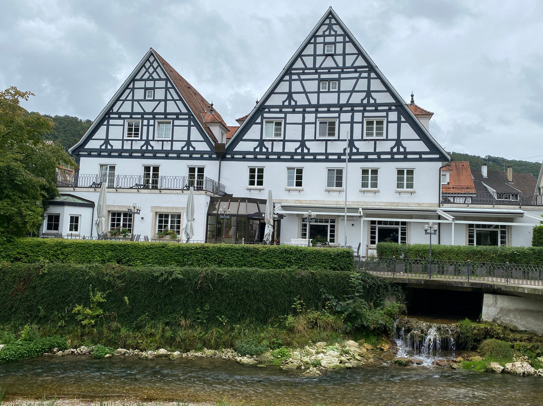 Bad Hotel Bad Ueberkingen主图