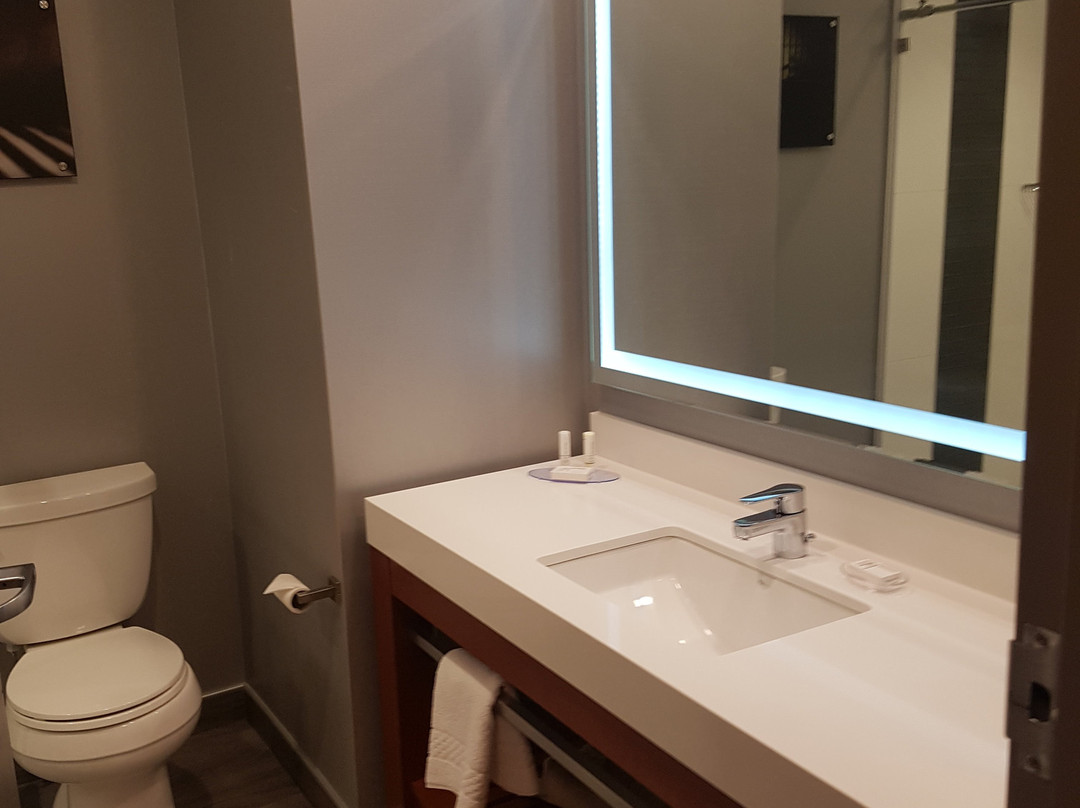 TownePlace Suites by Marriott Saskatoon主图