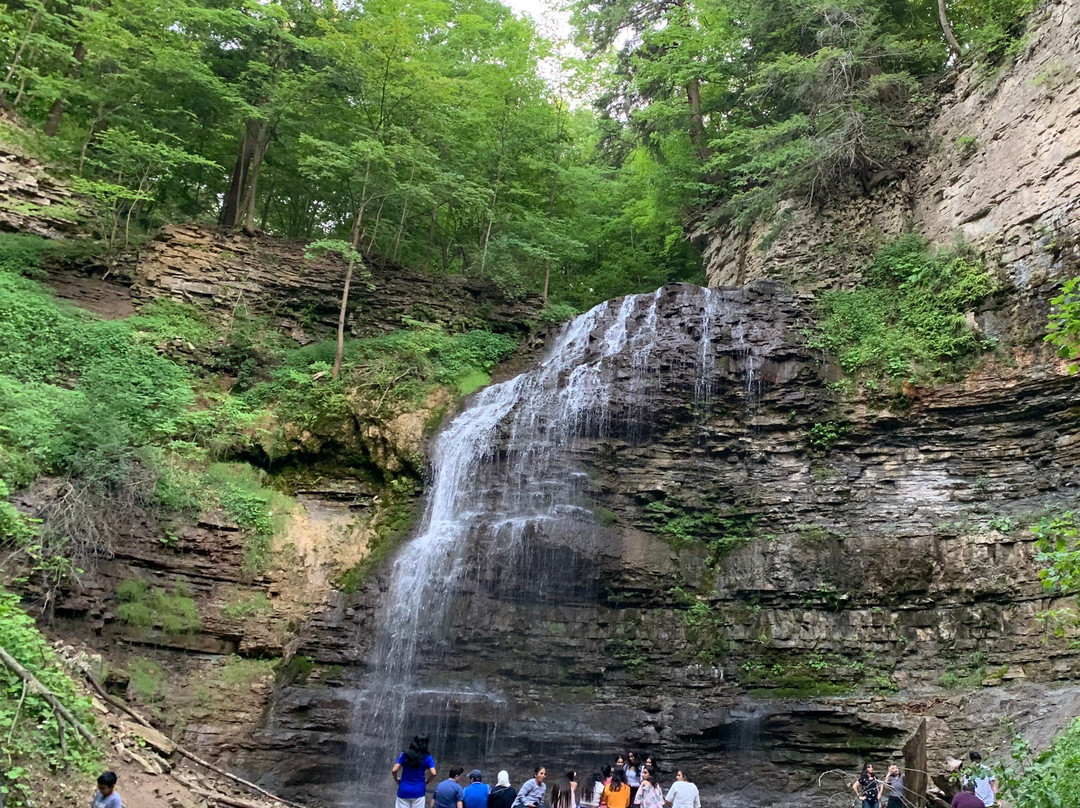 Tiffany Falls Conservation Area-安卡斯特必去景点