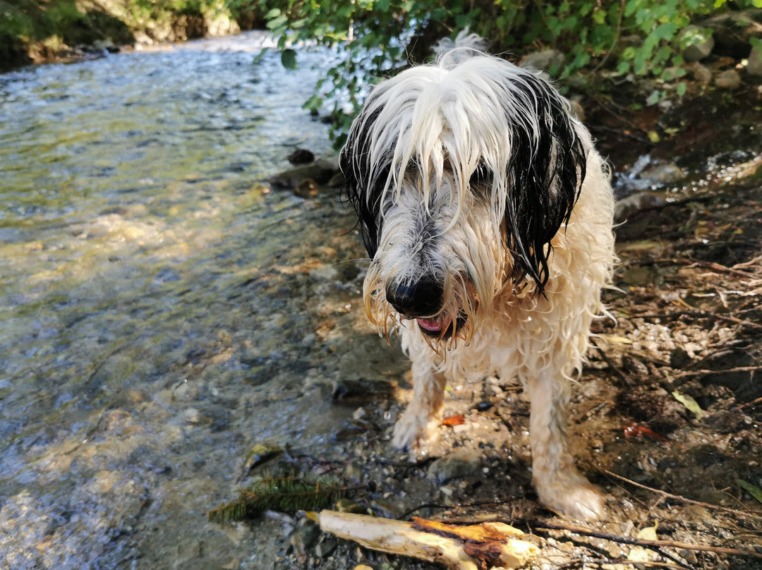 斯坦恩舒乐霍夫酒店主图