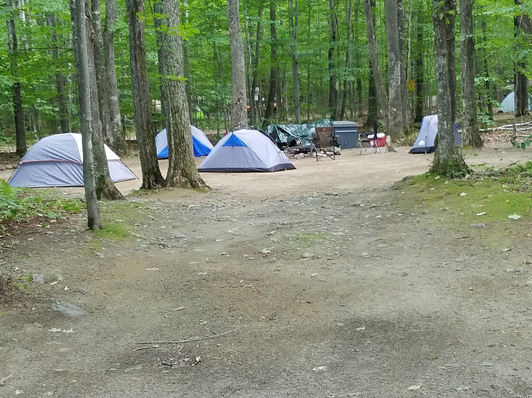 Crawford Notch General Store and Campground主图