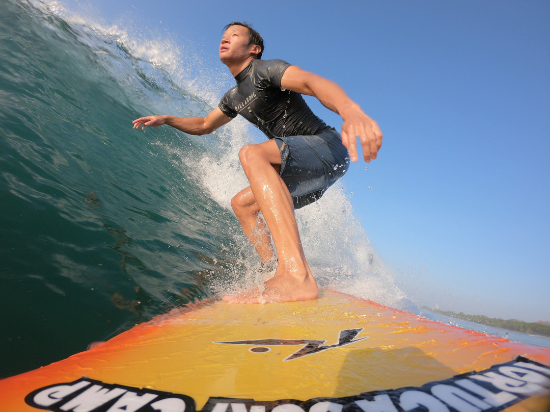 Tortuga Surf School景点图片