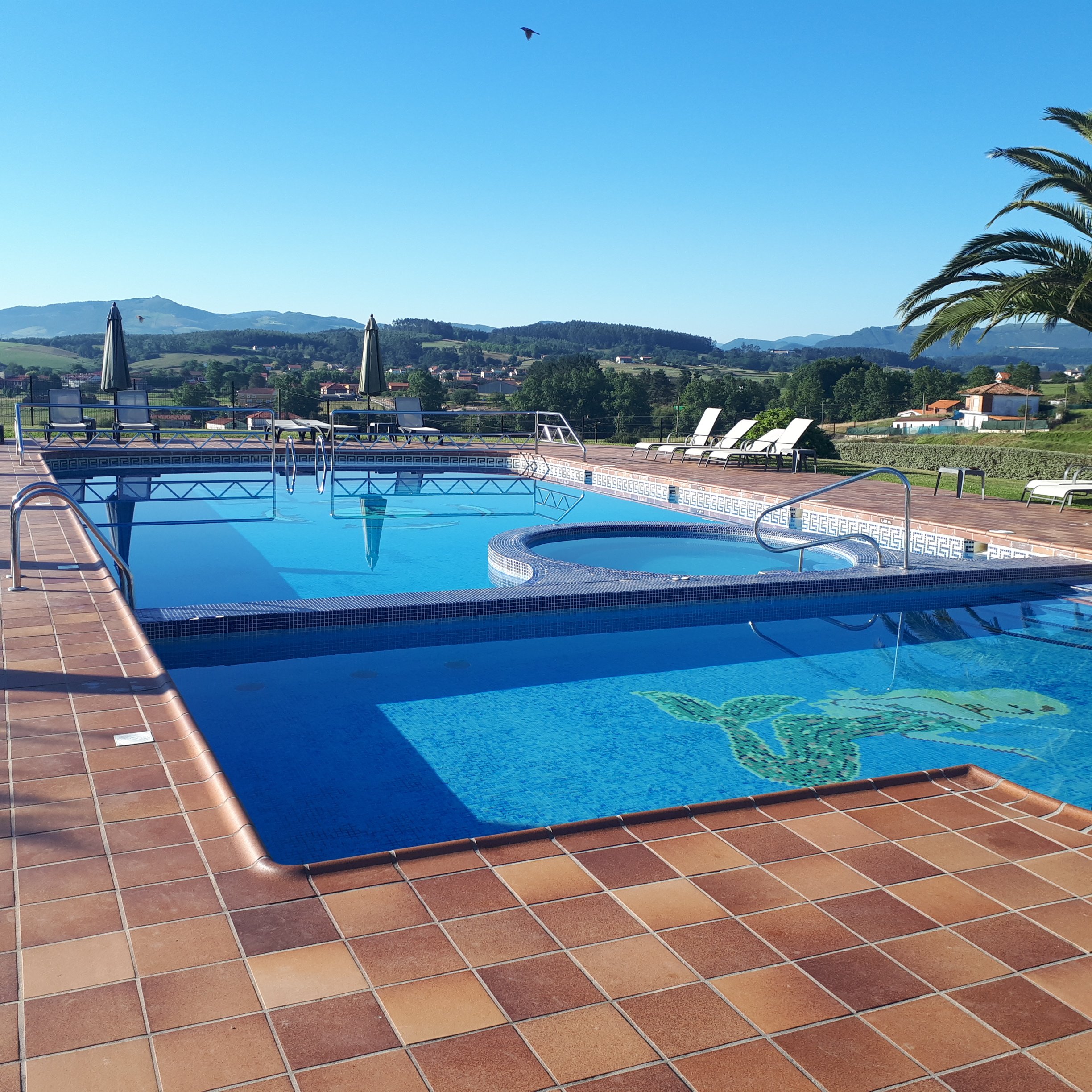 Posada el Iso-泳池