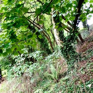 Deddington Castle-Deddington必去景点