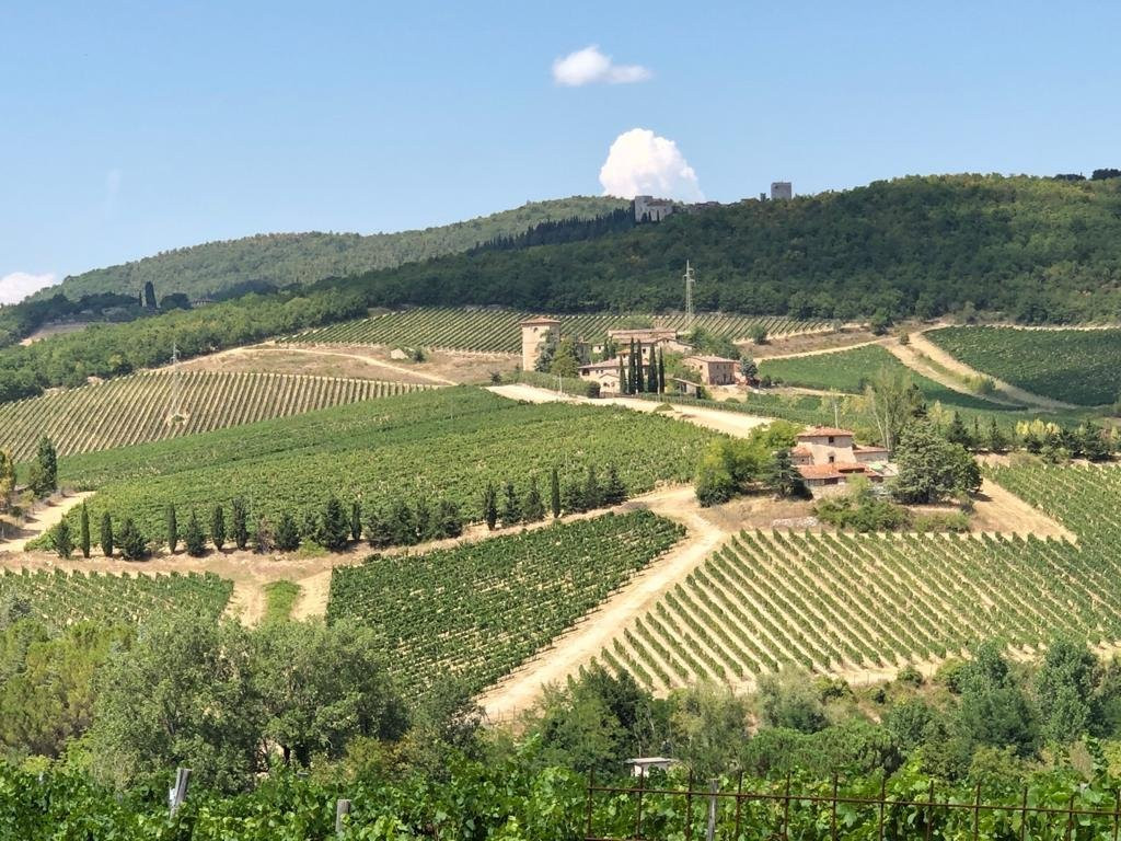 Strada Statale 222 Chiantigiana-锡耶纳必去景点