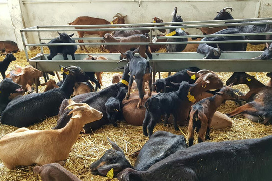 Prados De Melgaco-Melgaco必去景点