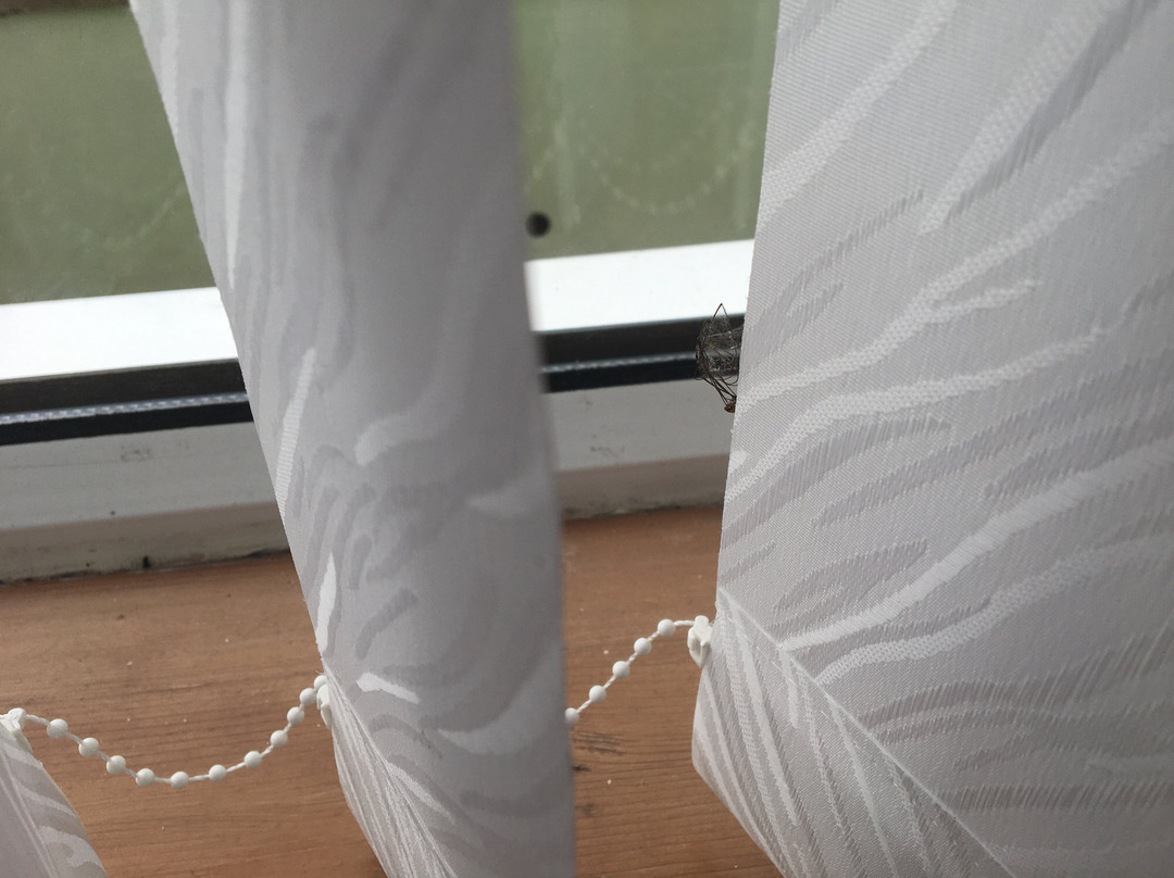 Prince of Wales Inn主图