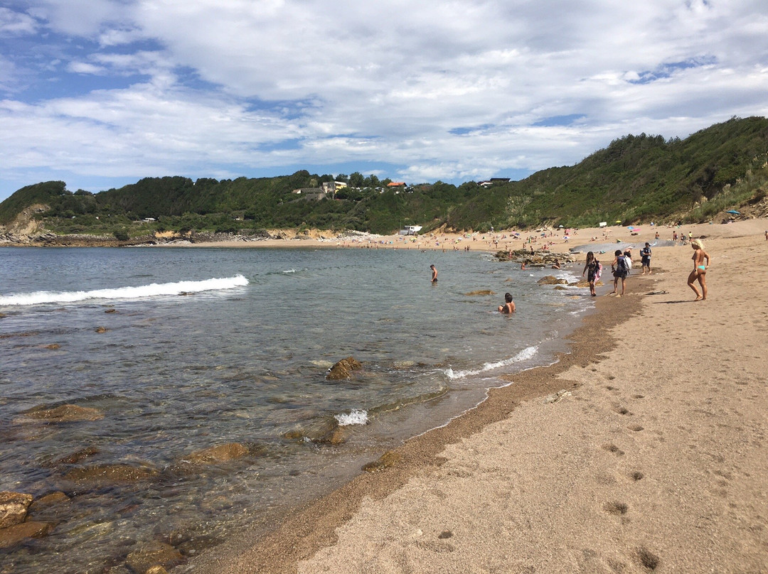 Plage de Lafitenia景点图片