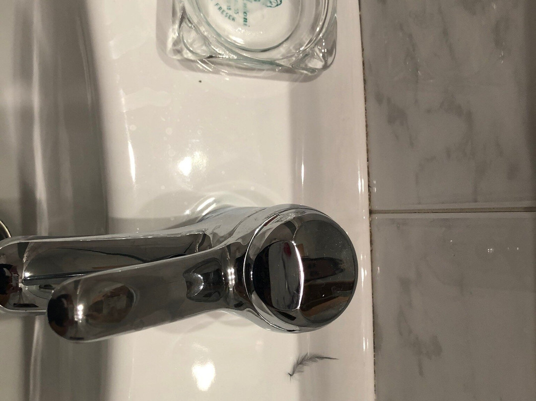 Hotel Sant Antoni主图